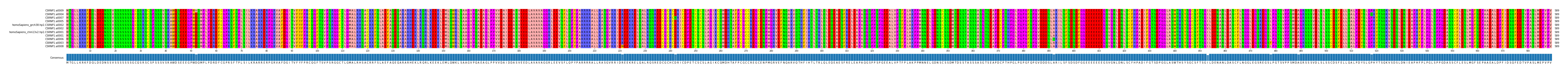 Multiple Alignments (by translate haplotype similarity)