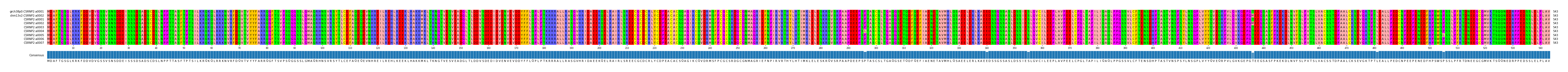 Multiple Alignments (by translate haplotype frequency)