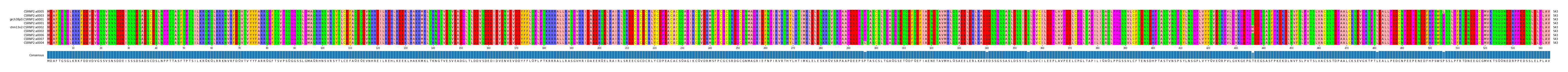 Multiple Alignments (by translate haplotype similarity)