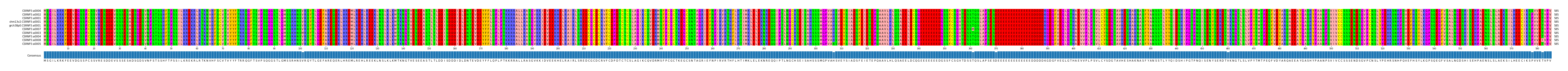 Multiple Alignments (by translate haplotype similarity)