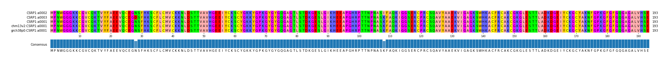 Multiple Alignments (by translate haplotype similarity)