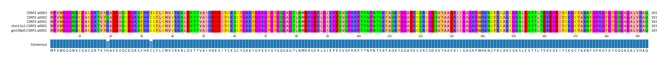 Multiple Alignments (by translate haplotype similarity)