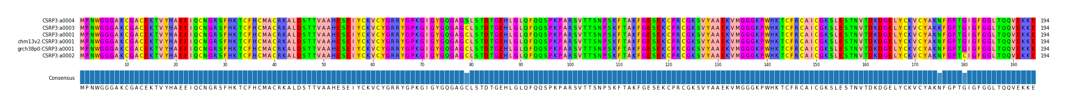 Multiple Alignments (by translate haplotype similarity)