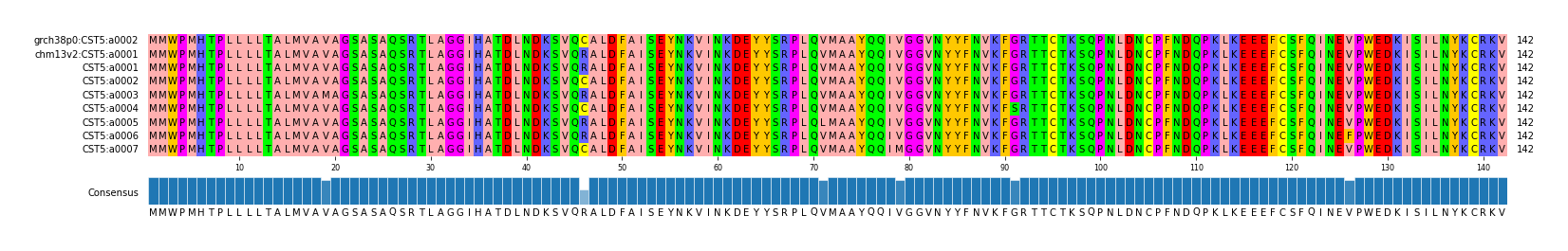 Multiple Alignments (by translate haplotype frequency)