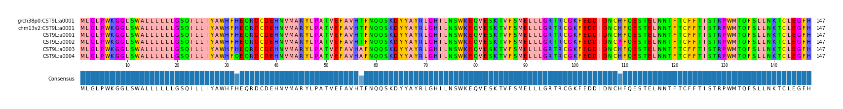 Multiple Alignments (by translate haplotype frequency)