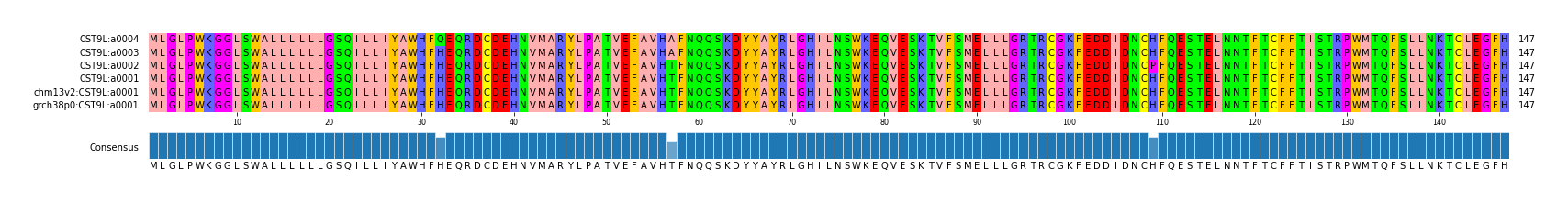 Multiple Alignments (by translate haplotype similarity)