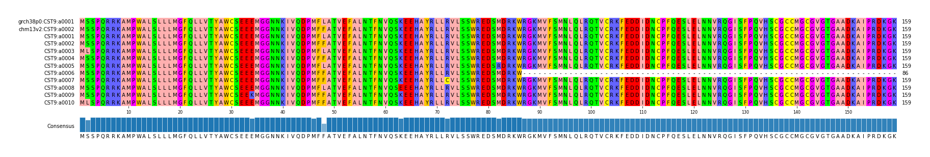 Multiple Alignments (by translate haplotype frequency)