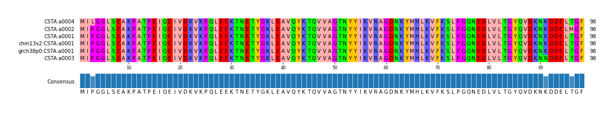 Multiple Alignments (by translate haplotype similarity)