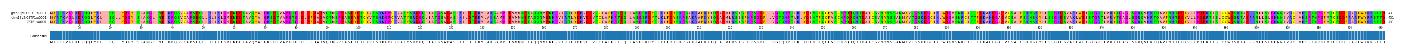 Multiple Alignments (by translate haplotype similarity)