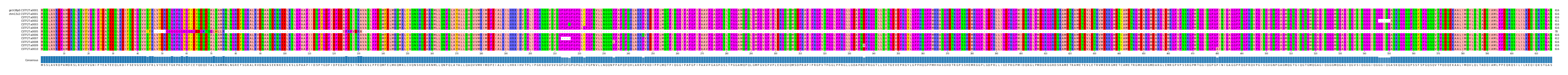 Multiple Alignments (by translate haplotype frequency)