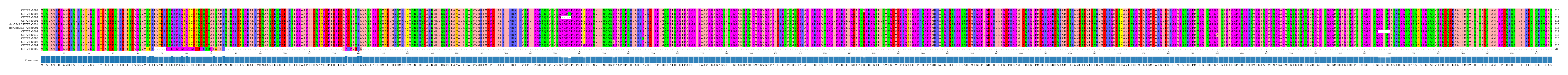 Multiple Alignments (by translate haplotype similarity)