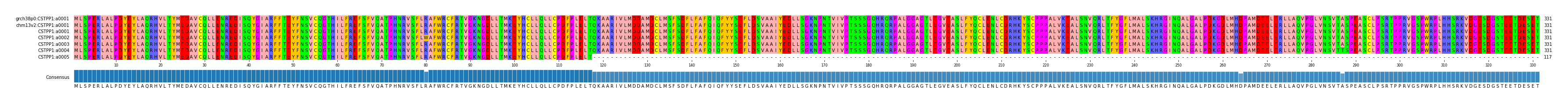 Multiple Alignments (by translate haplotype frequency)