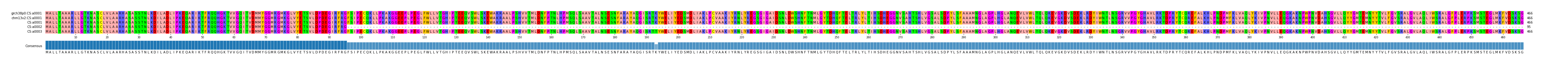 Multiple Alignments (by translate haplotype similarity)