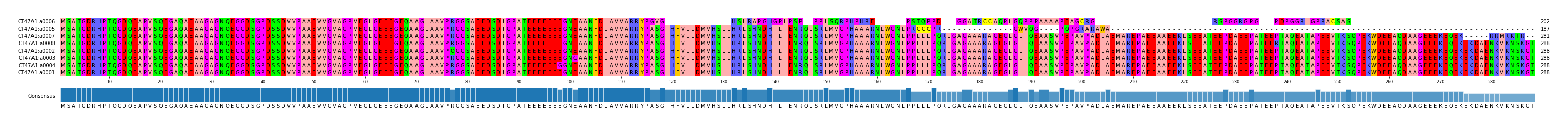 Multiple Alignments (by translate haplotype similarity)