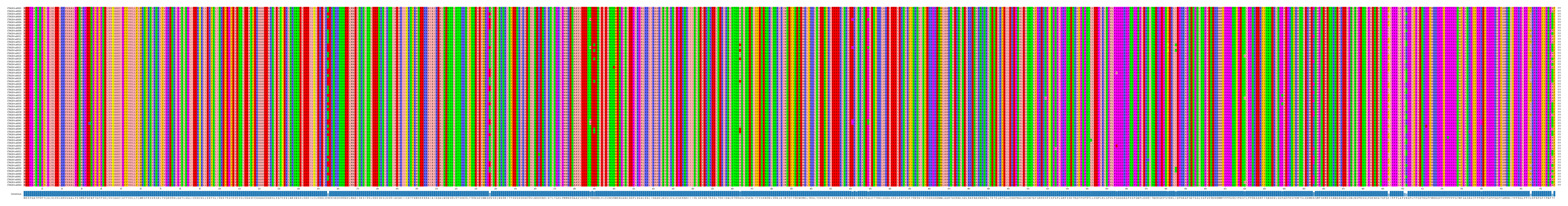 Multiple Alignments (by translate haplotype frequency)