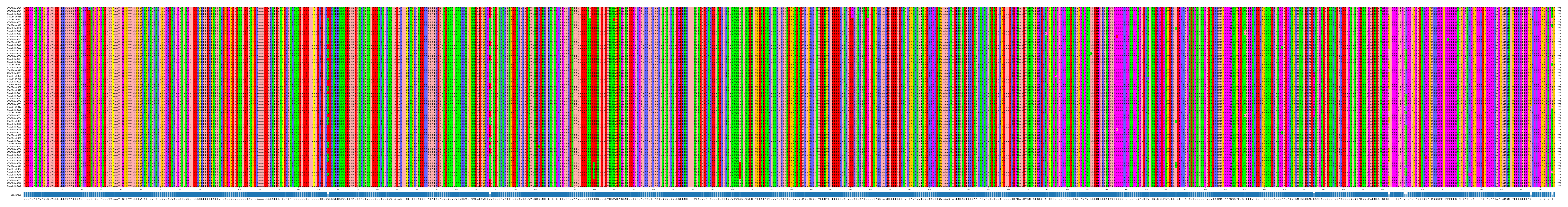 Multiple Alignments (by translate haplotype similarity)
