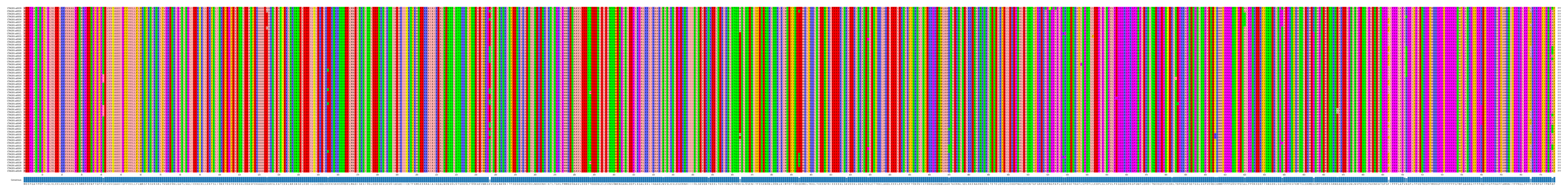 Multiple Alignments (by translate haplotype similarity)