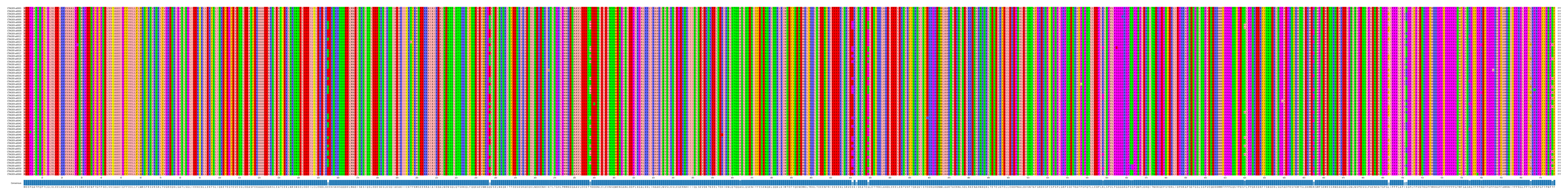 Multiple Alignments (by translate haplotype frequency)