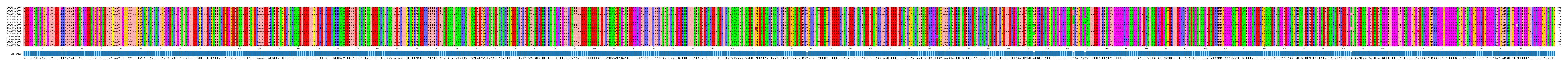 Multiple Alignments (by translate haplotype frequency)