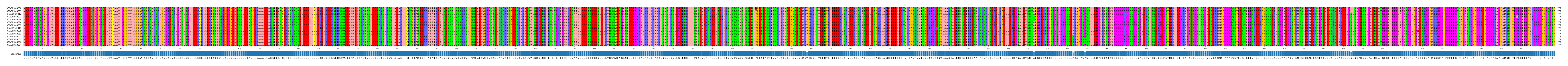 Multiple Alignments (by translate haplotype similarity)