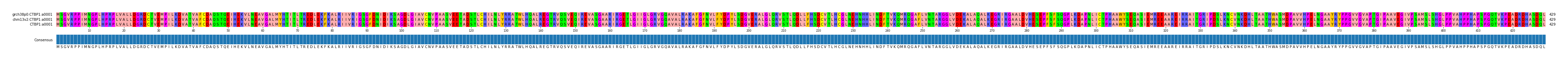 Multiple Alignments (by translate haplotype similarity)