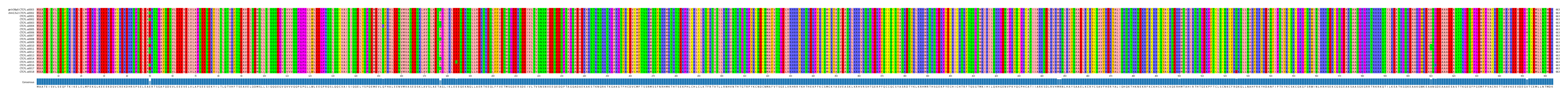 Multiple Alignments (by translate haplotype frequency)