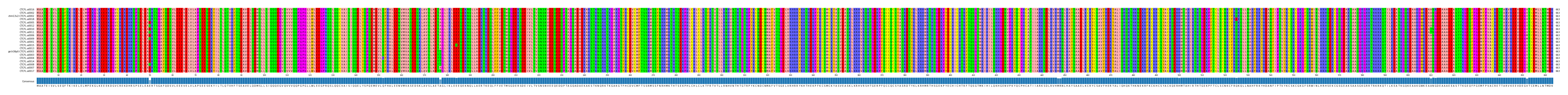 Multiple Alignments (by translate haplotype similarity)