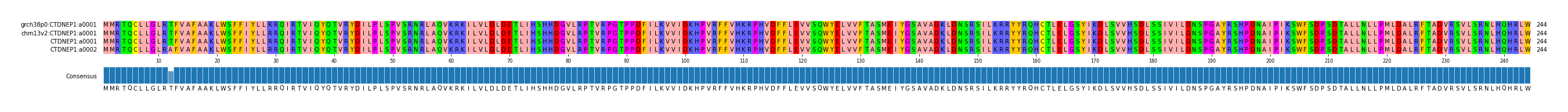 Multiple Alignments (by translate haplotype frequency)