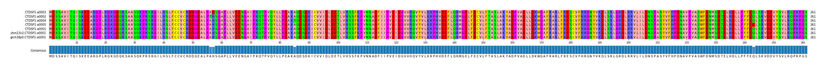 Multiple Alignments (by translate haplotype similarity)