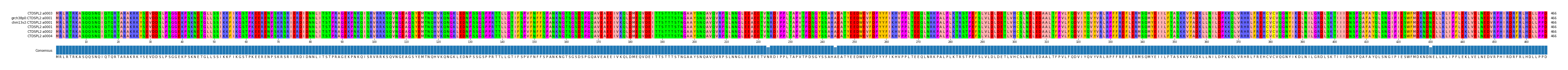 Multiple Alignments (by translate haplotype similarity)