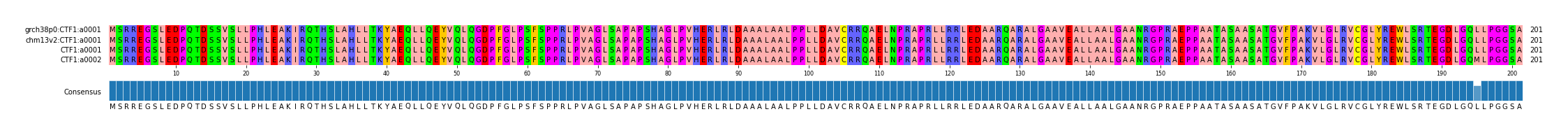 Multiple Alignments (by translate haplotype similarity)