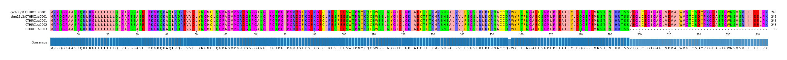 Multiple Alignments (by translate haplotype frequency)