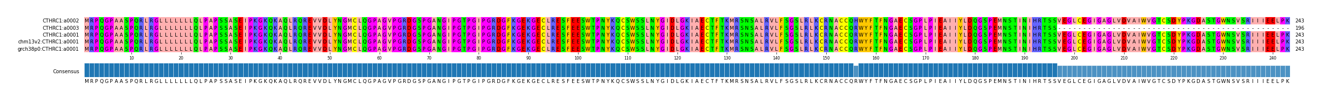 Multiple Alignments (by translate haplotype similarity)