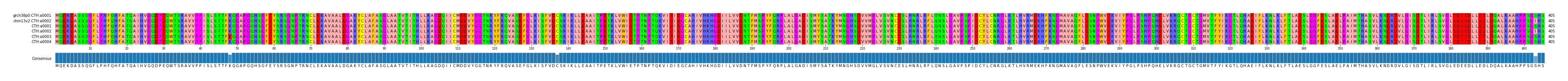 Multiple Alignments (by translate haplotype frequency)