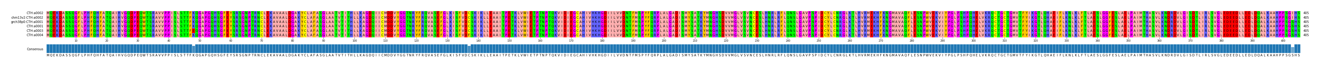Multiple Alignments (by translate haplotype similarity)