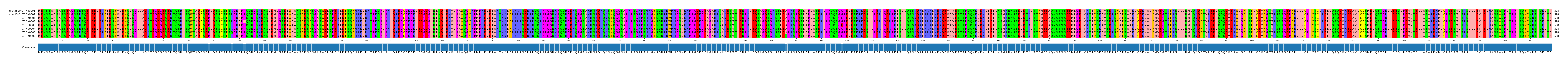 Multiple Alignments (by translate haplotype frequency)