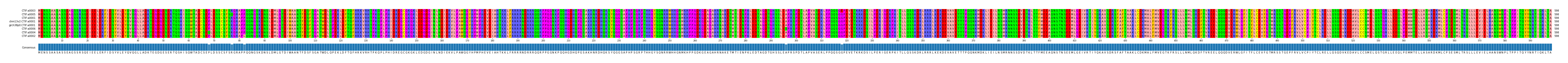 Multiple Alignments (by translate haplotype similarity)