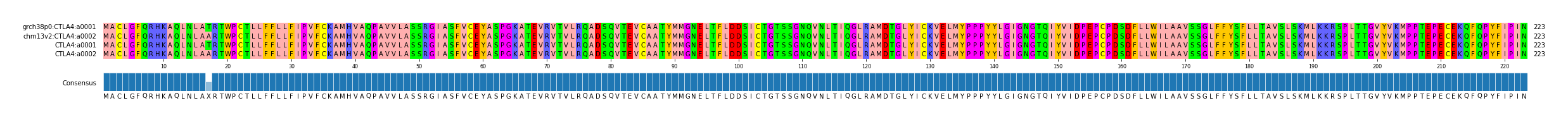 Multiple Alignments (by translate haplotype frequency)