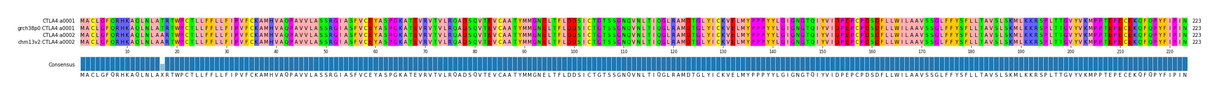 Multiple Alignments (by translate haplotype similarity)