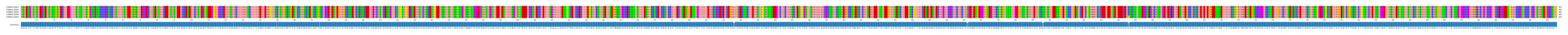 Multiple Alignments (by translate haplotype frequency)