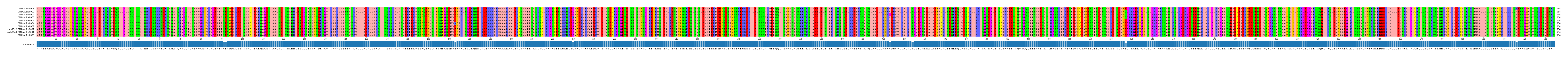 Multiple Alignments (by translate haplotype similarity)