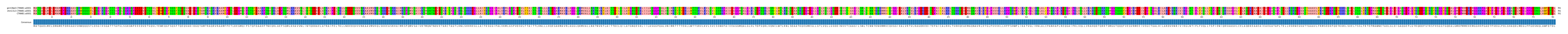 Multiple Alignments (by translate haplotype similarity)
