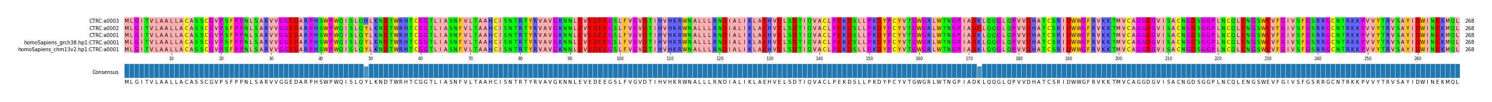 Multiple Alignments (by translate haplotype similarity)