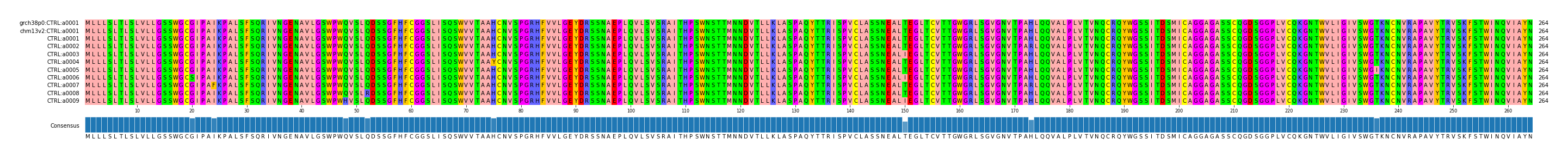 Multiple Alignments (by translate haplotype frequency)
