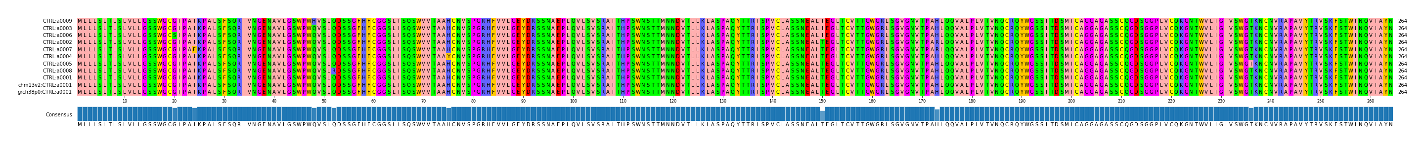 Multiple Alignments (by translate haplotype similarity)