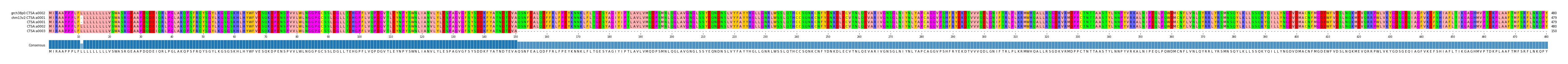 Multiple Alignments (by translate haplotype similarity)