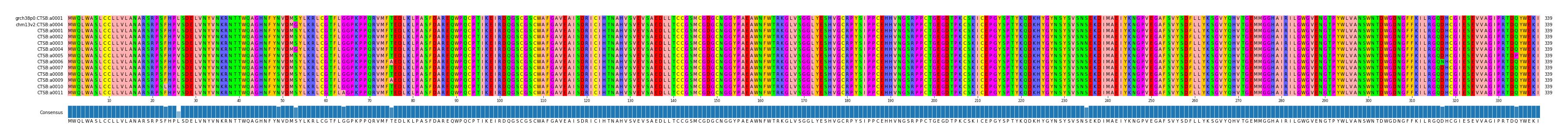 Multiple Alignments (by translate haplotype frequency)
