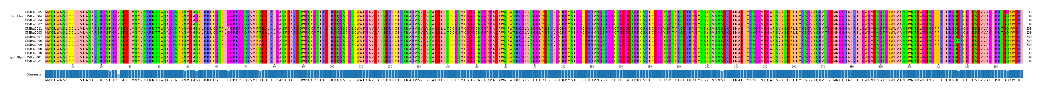 Multiple Alignments (by translate haplotype similarity)