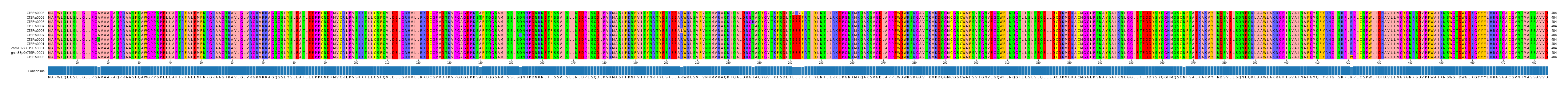 Multiple Alignments (by translate haplotype similarity)