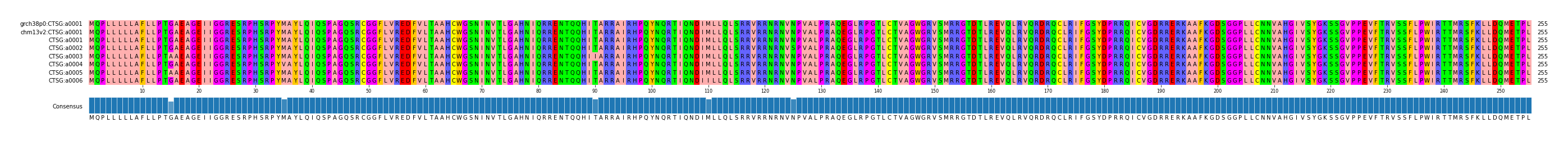 Multiple Alignments (by translate haplotype frequency)